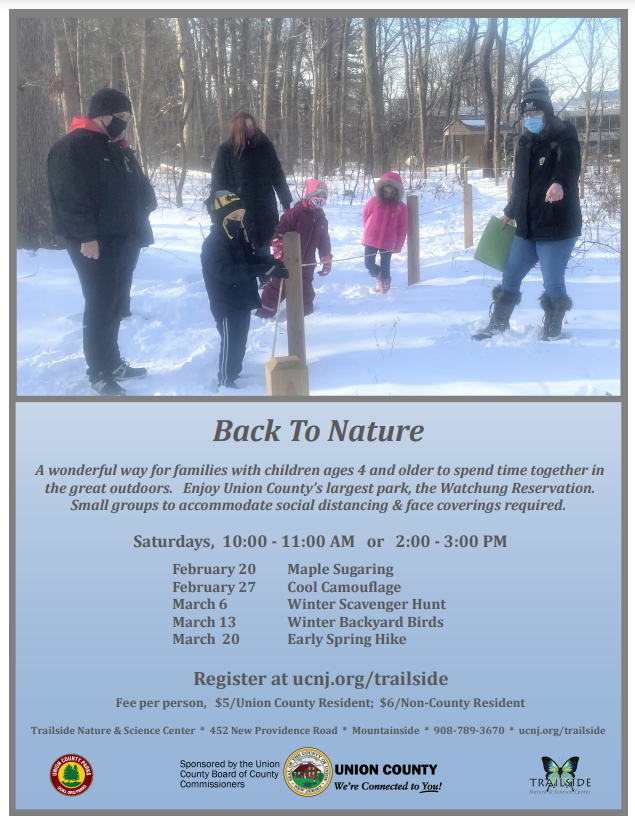 back to nature flyer