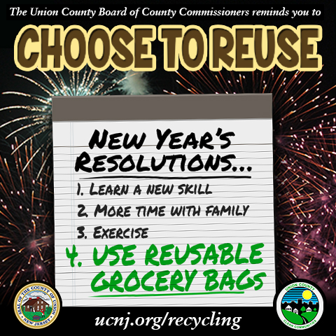 choose to reuse flyer