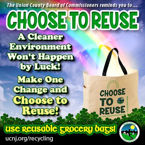use reusable grocery bags flyer