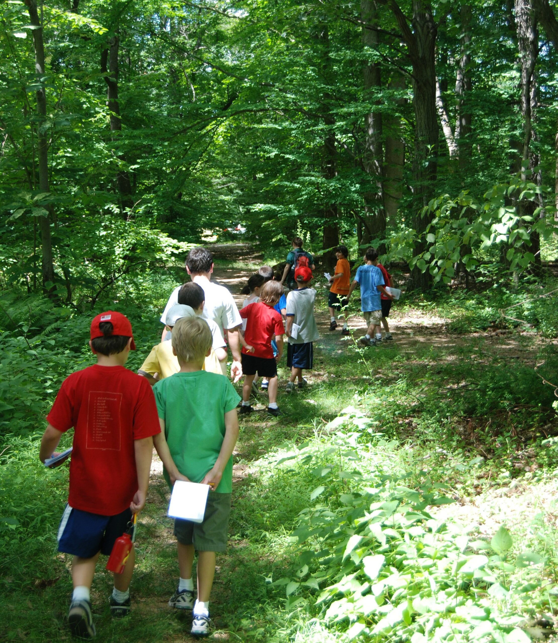 kids walking on a trail
