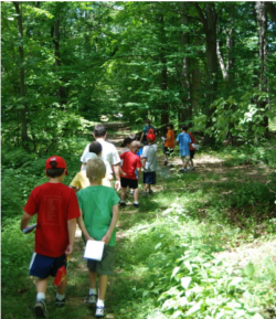 kids walking on a trail