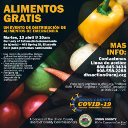 food distribution flyer