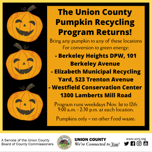 pumpkin recycling program flyer