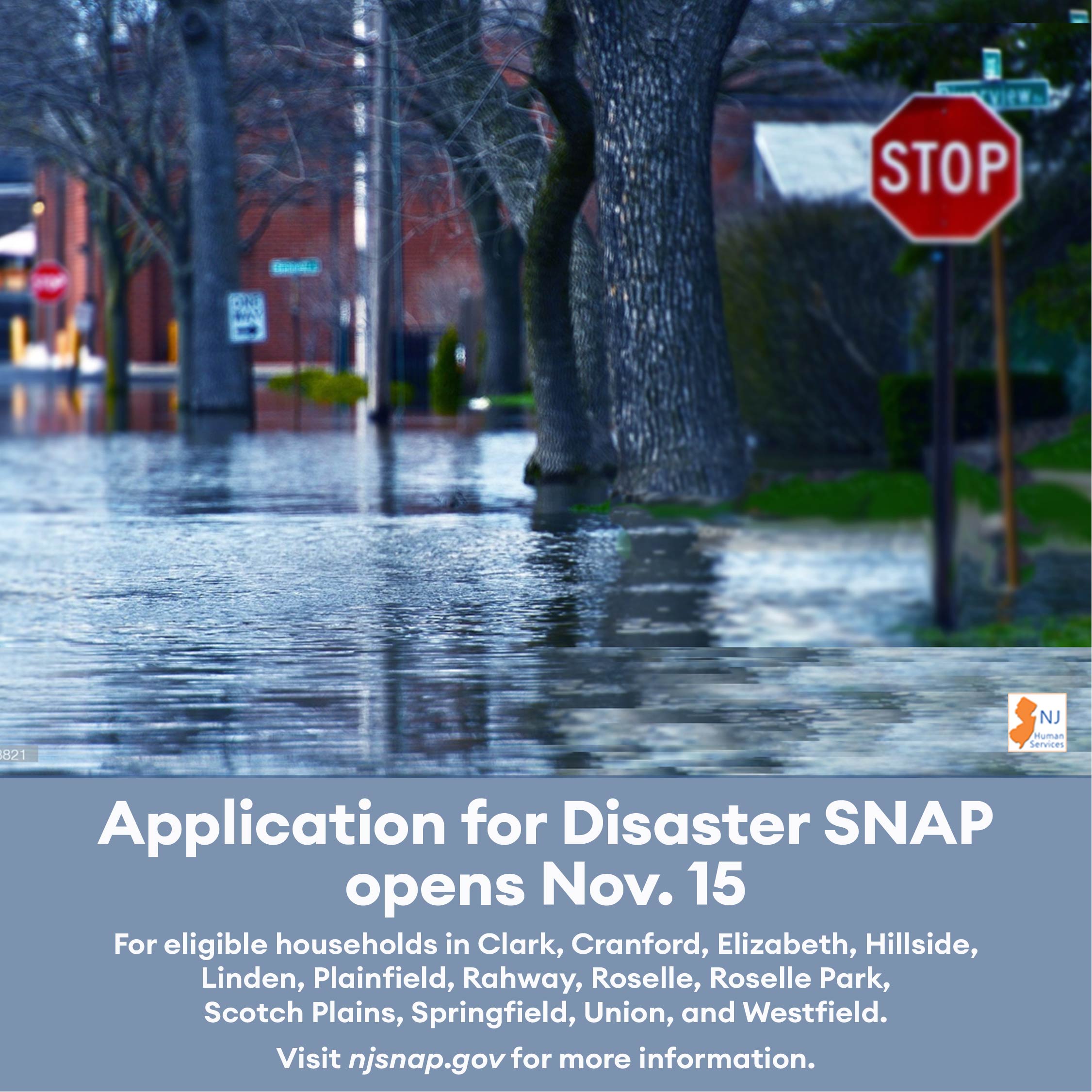 application of disaster snap flyer