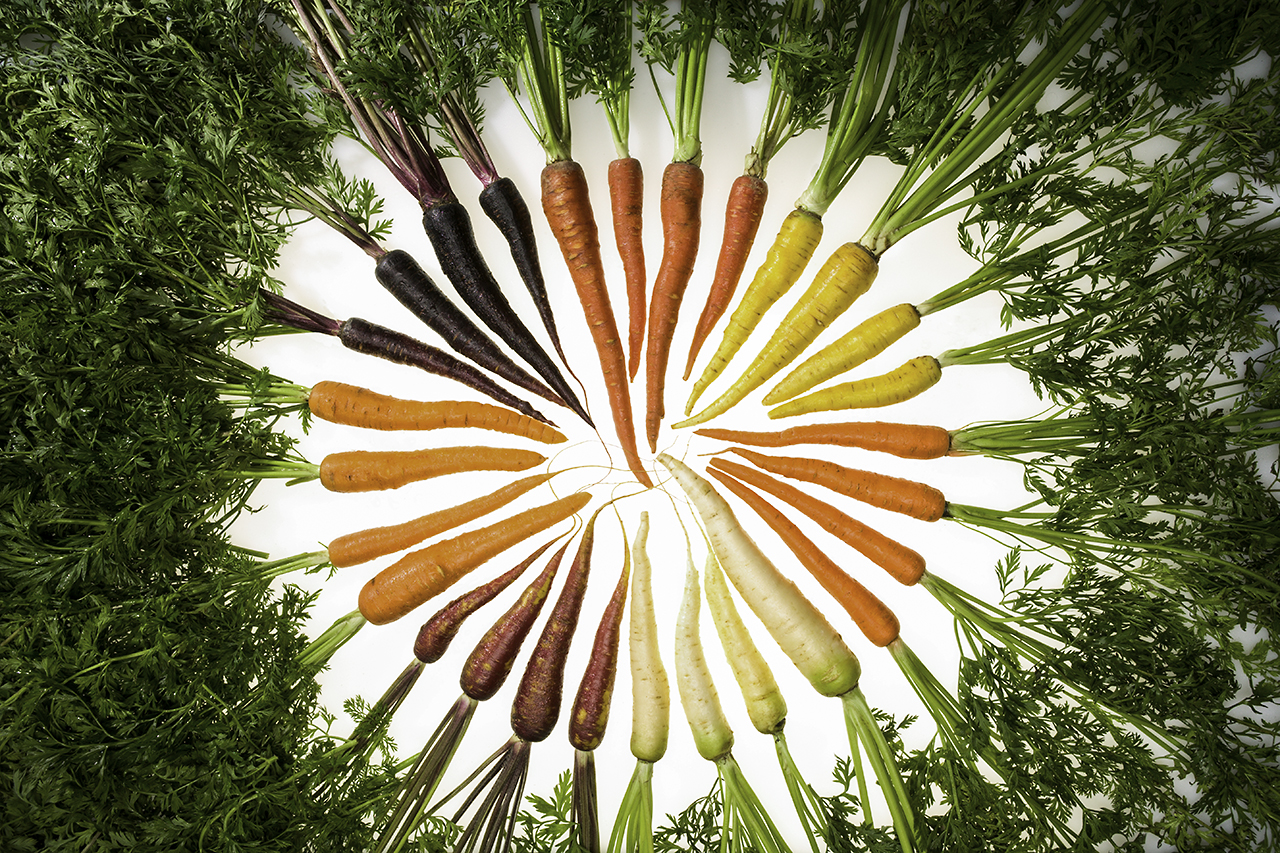 various colored carrots organized to form a circle