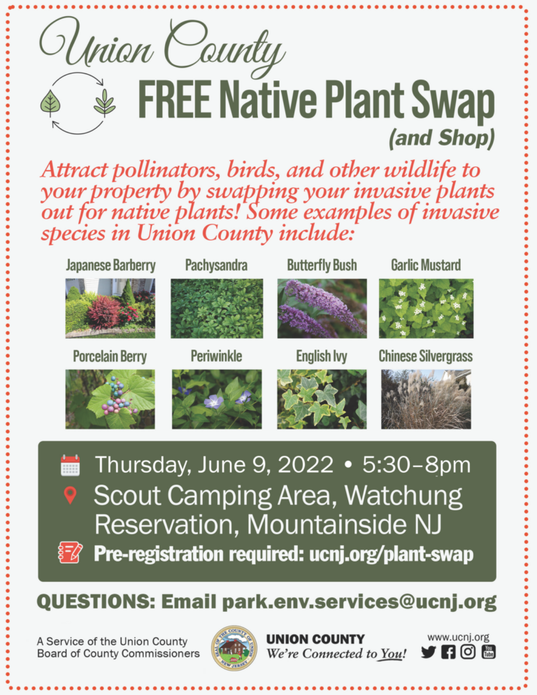 Come to the Free “Native Plant Swap and Shop,” June 9 County of Union