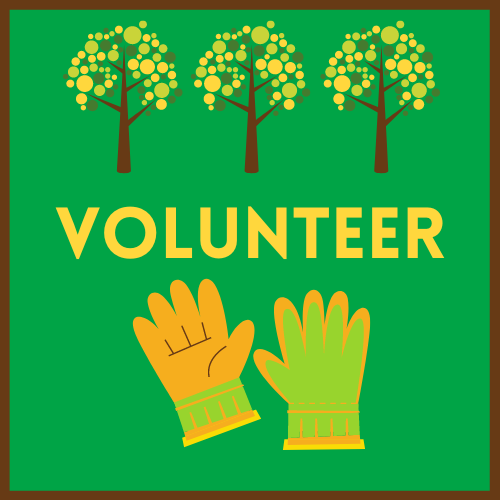 volunteer  gardening gloves