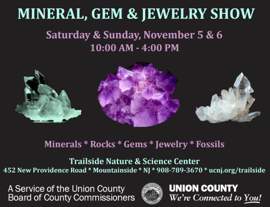 mineral, gem, jewelry show