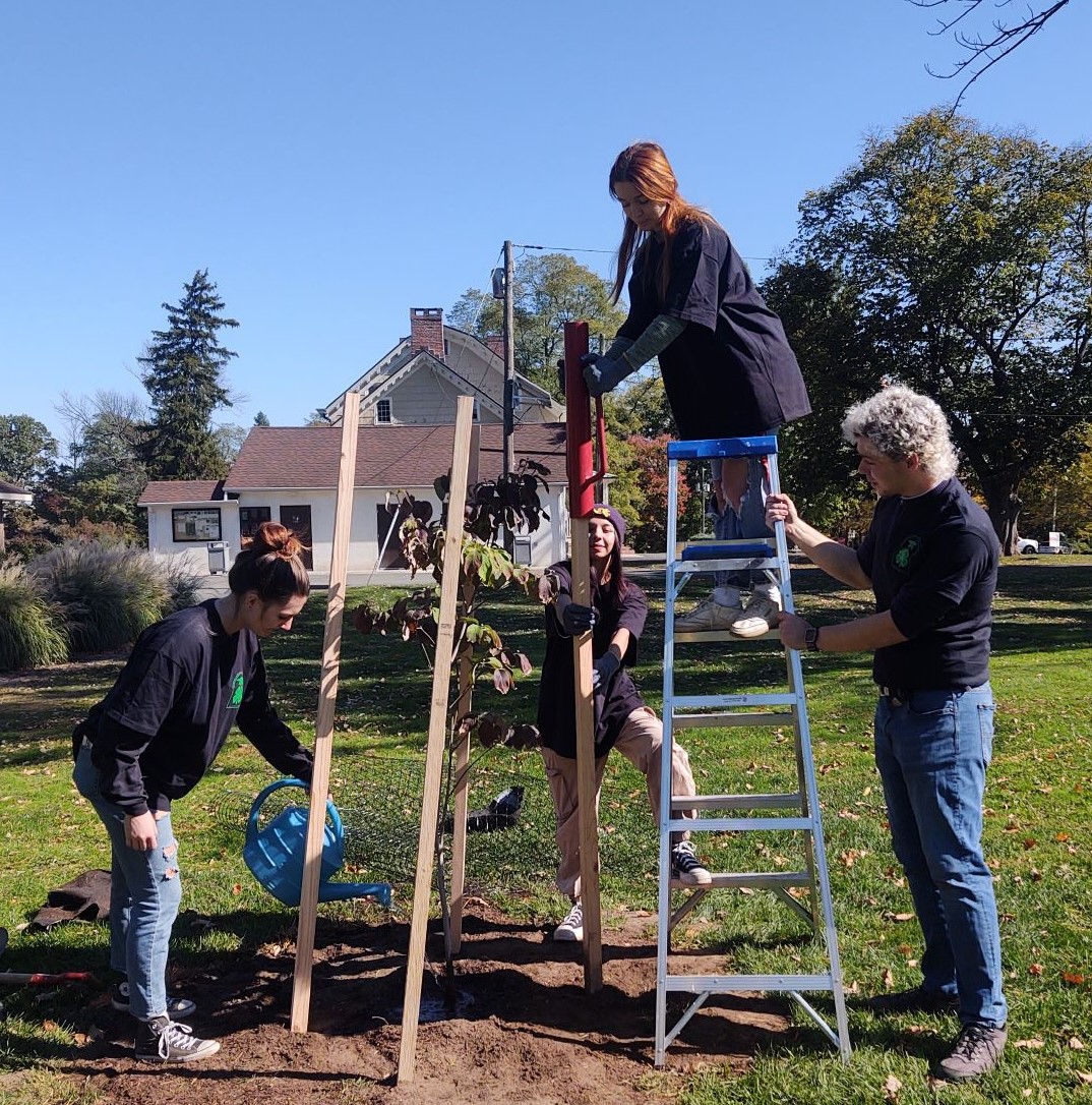 Student Volunteers Help Plant New Native Trees in Union County’s Oak Ridge Park