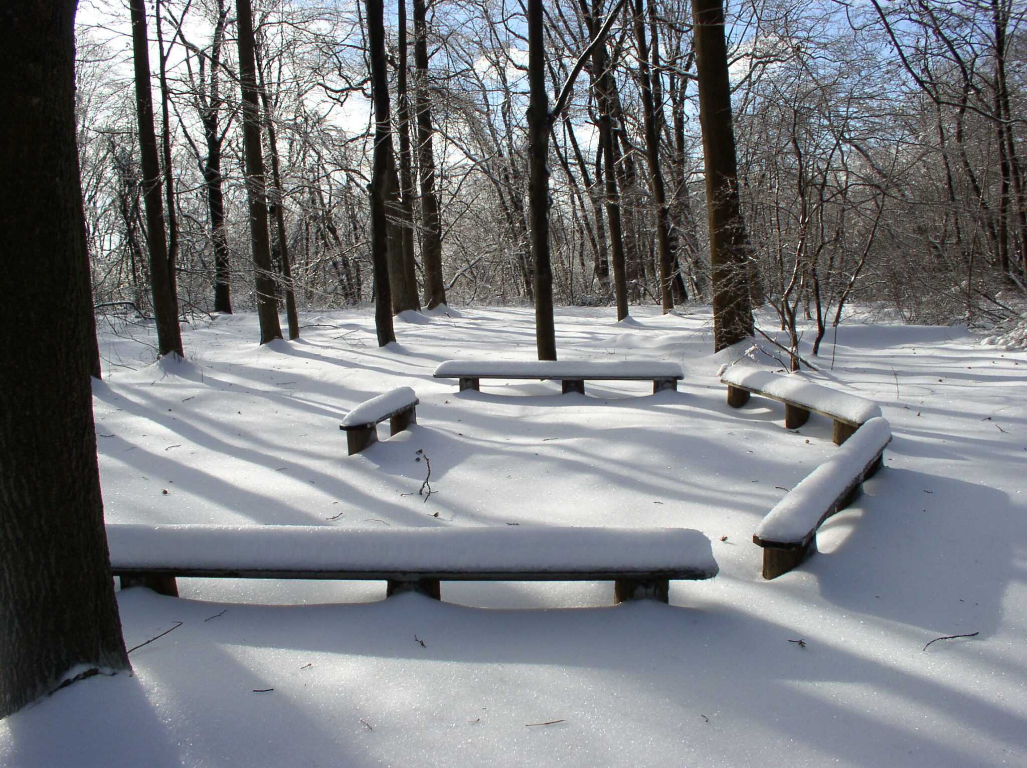 Trailside Nature & Science Center – County of Union