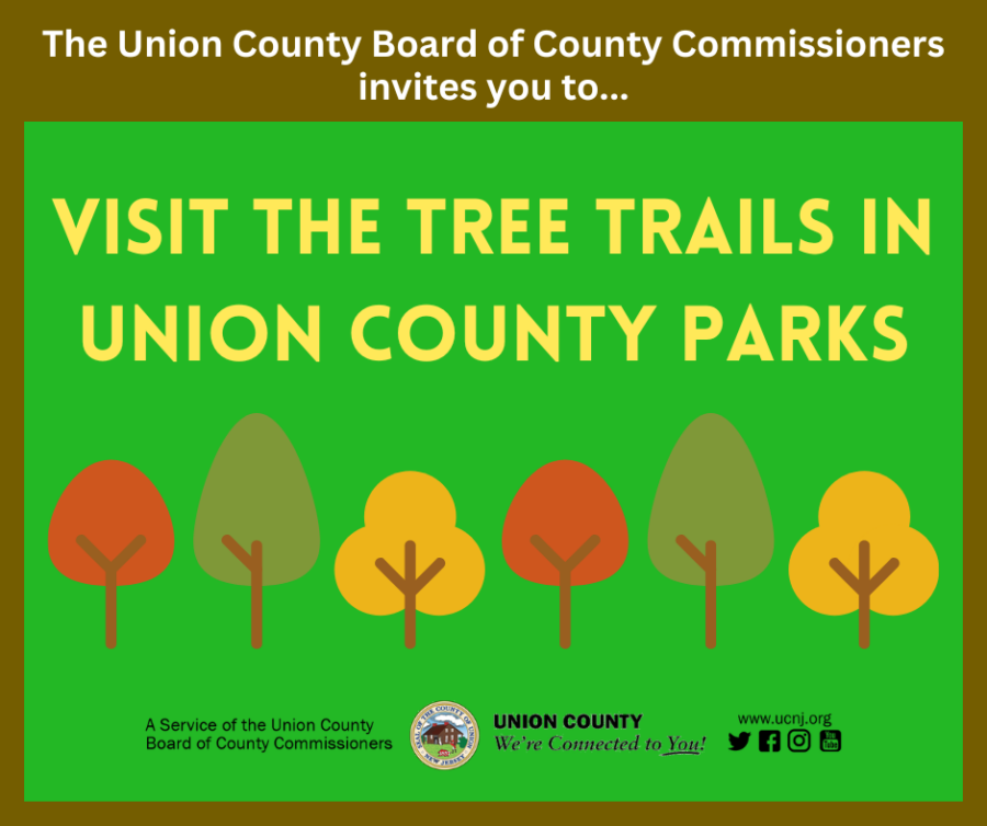 visit the tree trails in union county parks