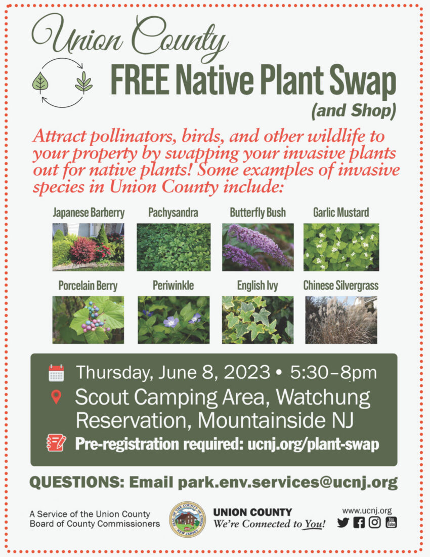 free native plant swap and shop flyer