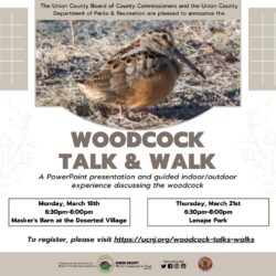 Union County Invites Residents to Learn About the Remarkable American Woodcock at Watchung Reservation and Lenape Park
