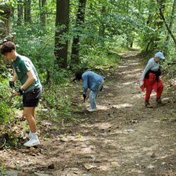 Union County Partners With Local Scout Council & Others to Remove Invasive Plants