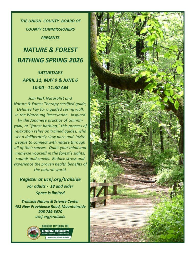 Event Flyer Title: Nature & Forest Bathing Spring 2026
Presented by: The Union County Board of County Commissioners
Dates & Time
Saturdays: April 11, May 9, and June 6
Time: 10:00 AM – 11:30 AM
Event Details
Join Park Naturalist and Nature & Forest Therapy certified guide, Delaney Fay, for a guided spring walk in the Watchung Reservation.
Inspired by the Japanese practice of Shinrin-yoku, or "forest bathing," this process of relaxation relies on trained guides who set a deliberately slow pace and invite people to connect with nature through all of their senses. Quiet your mind and immerse yourself in the forest's sights, sounds, and smells. Reduce stress and experience the proven health benefits of the natural world.
Important Information
Who: For adults — 18 and older
Availability: Space is limited
Registration & Location
Register at: ucnj.org/trailside
Location: Trailside Nature & Science Center
Address: 452 New Providence Road, Mountainside, NJ
Phone: 908-789-3670
Brought to you by:
Union County Board of County Commissioners and the Department of Parks and Recreation.
