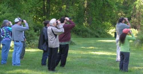 Picture of seniors on a nature walk. Seniors are birdwatching and using binoculars.