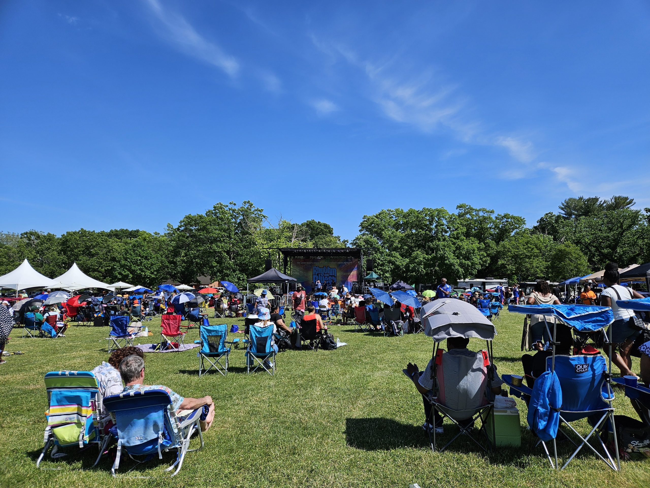 A lively scene of residents and visitors gathered on the lawn and enjoying the Rhythm & Blues by the Brook festival in 2024