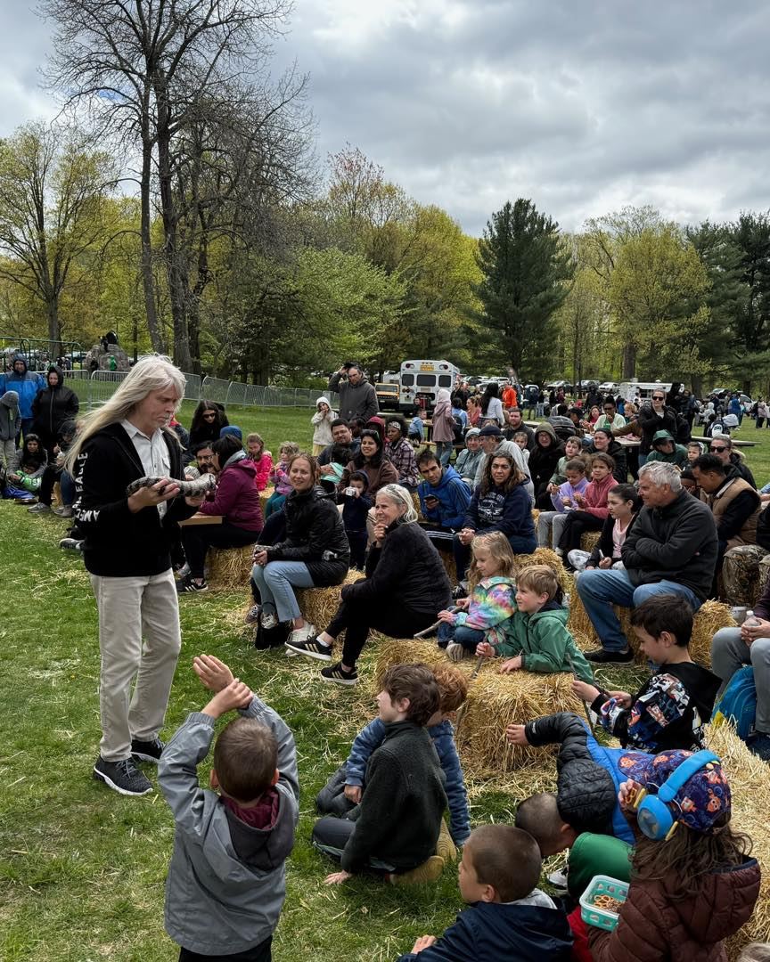 Families and children enjoying fresh air outdoors while watching a presenter hold a snake at the 2025 Wild Earth Fest in Watchung Reservation Loop