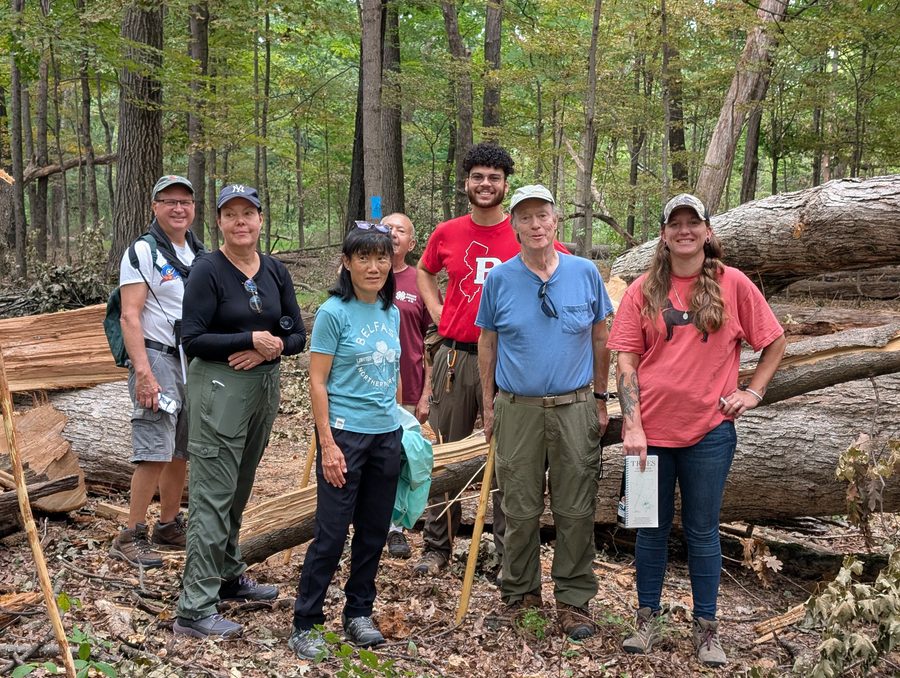 Participantes del programa Master Tree Steward durante una sesión de capacitación en el William L. Hutcheson Memorial Forest, en Franklin Township, otoño de 2025.