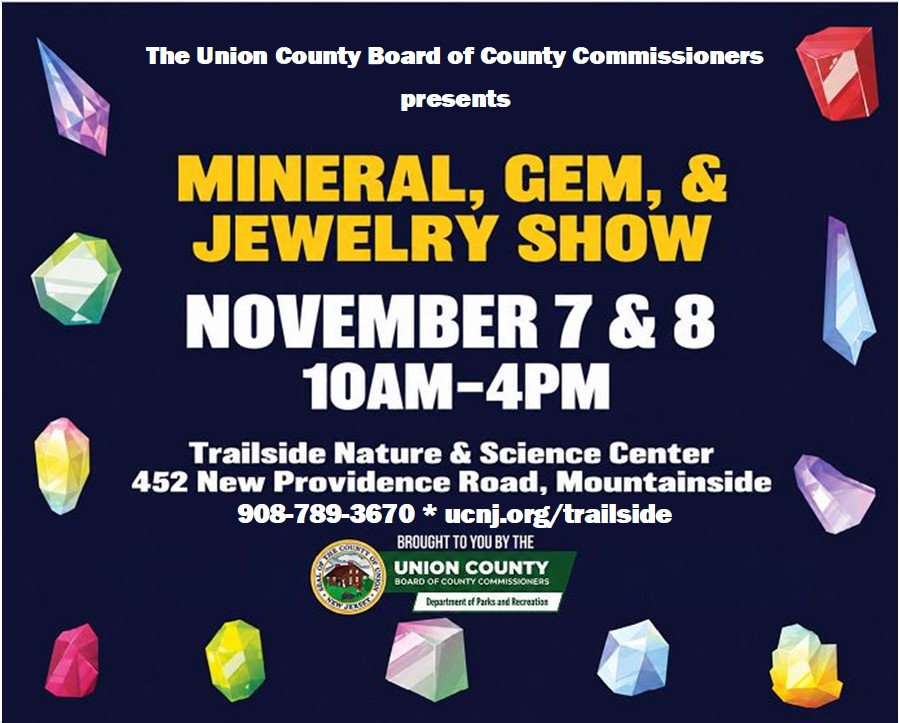Discover something extraordinary at the Mineral, Gem & Jewelry Show