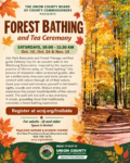 Fall is full of ways to connect with nature, get creative, and recharge at Trailside Nature & Science Center